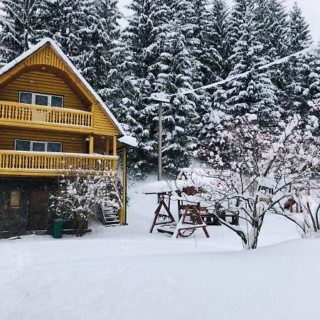 У Віти Котедж 1 Synevyrs'ka Polyana Bagian luar foto